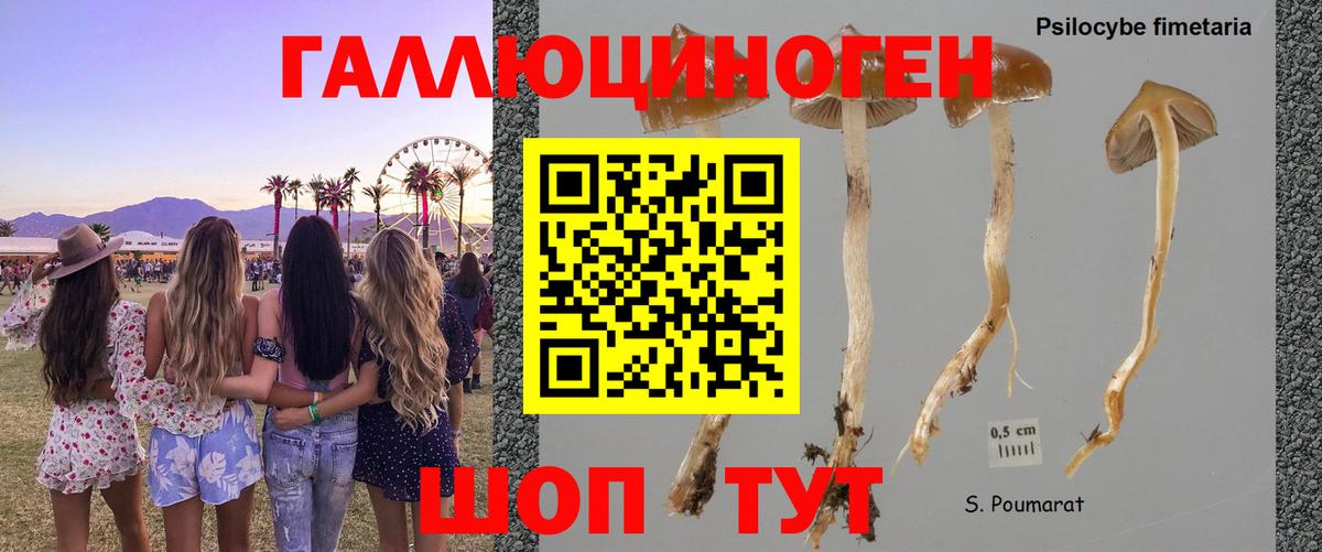 Псилоцибиновые грибы мицелий  Галлюциногенные грибы прущие грибы  Вичуга  Вход с VPN 